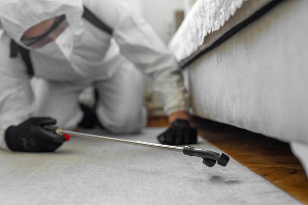 Professional Cockroach Control technician working in Lorenz Park, NY