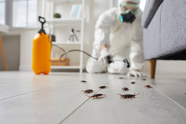 Trusted Cockroach Control service in Lorenz Park, NY - Nex Pest Control