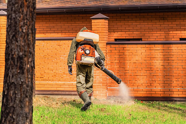 Trusted Mosquito Control service in Lorenz Park, NY - Nex Pest Control